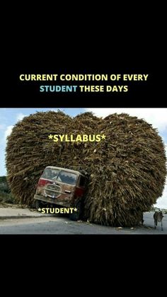 a heart made out of hay with the caption, student condition of every student these days