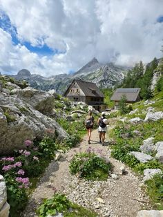 two people walking up a trail towards a cabin on the side of a mountain with wildflowers