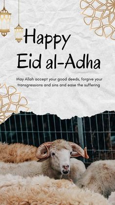 Eid card plus Eid ul adha wishes Eid Al Adha Mubarak Wishes, Eid Ul Adha Mubarak Greetings, Eid Wishes Quote, Kurban Bajram, Eid Al Adha Wishes, Eid Mubarak Wishes Images, Eid Adha Mubarak, Eid Mubarak Quotes, Eid Photos