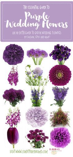 the essential guide to purple wedding flowers an in - depth guide to green wedding flowers