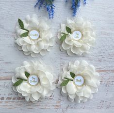 three white flowers with green leaves on them and some words written on the petals are placed next to each other