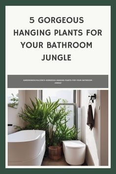 a bathroom with plants in it and the words 5 gorgeous hanging plants for your bathroom jungle