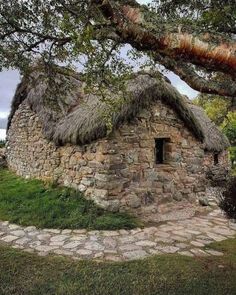 an old stone house with grass on the roof and windows is shown under a large tree