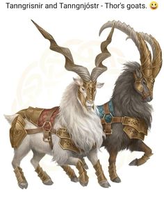 two goats with horns and armor on their backs