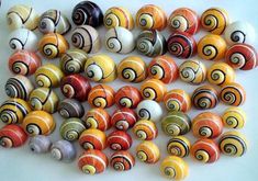 many different types of snails on a white surface with red, yellow and black stripes