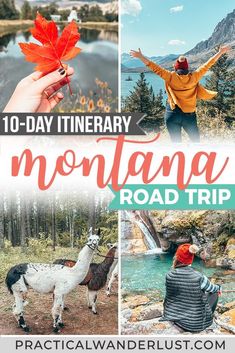 the top ten things to do in montana road trip