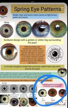 Color Seasons Eyes, Summer Eye Patterns, Summer Eye Pattern Color Analysis, Color Season Eye Pattern, Light Spring Eyes