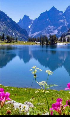 a lake surrounded by mountains and flowers in the foreground