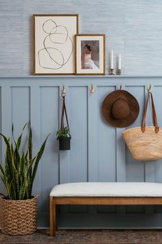 a bench and some pictures on the wall next to a potted plant with a hat hanging from it