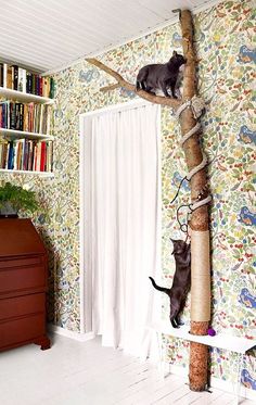 two cats sitting on top of a cat tree in a room with floral wallpaper