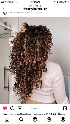 Summer Hair Color For Brunettes Curly, Fall Curly Hair Color Highlights, Pintura Highlights Curly Caramel, Highlights For Curly Hair Natural Curls Ombre Dark Brown, Curly Hair Fall Color Ideas, Curly Hair With Highlights, Balayage Auburn, Curly Balayage, Curly Balayage Hair