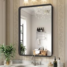 a bathroom sink with a mirror above it and a potted plant on the counter