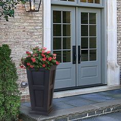 a potted planter with flowers in front of a door