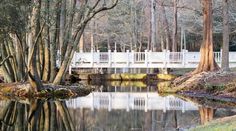 a white bridge crossing over a small river