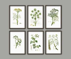 four framed botanical prints in various shades of green and yellow, each with different flowers