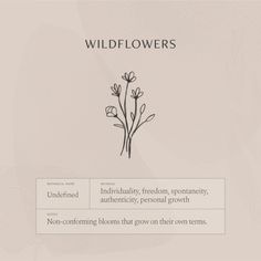 the wildflowers website homepage is shown with an image of flowers in black and white