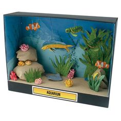 an aquarium with fish, plants and rocks on the bottom is in a cardboard box