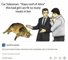 a cat is being petted by two men in suits and ties, with caption that reads positive memes car salesman slaps off alice this bad girl can fit so many treats in her