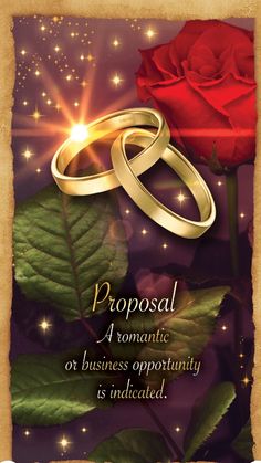 two wedding rings sitting on top of a rose with the words, proposal romantic or business opportunity is indicated