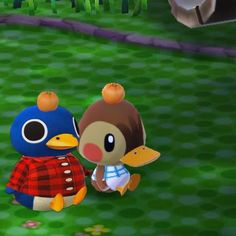 an animal crossing game with two characters standing next to each other in the grass,