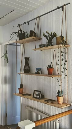 hanging shelves with plants and pictures on them in front of a wall mounted radiator