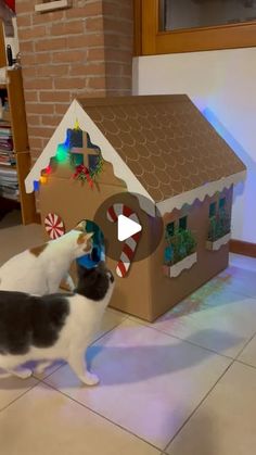 a cat playing with a toy house on the floor in front of a christmas tree