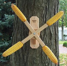 three corn on the cob mounted to a tree