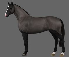 a black horse standing on top of a wooden floor next to a gray wall with white trim