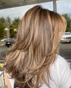 Harsh Highlights Hair, Light Brown Hair Color With Blonde Highlights, Hair With Depth, Light Layered Hair, Hair With Highlights And Layers, Honey Hair Highlights, Layered Highlighted Hair, Layered Haircut With Highlights, Fall 2024 Hair