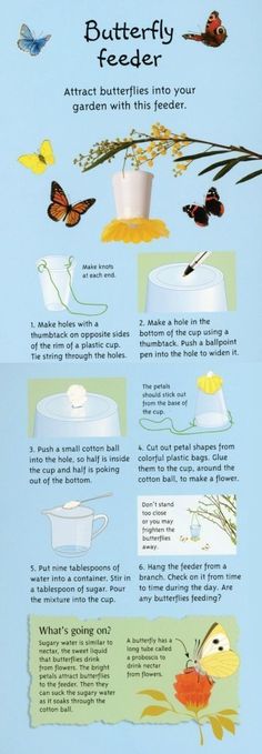 the instructions for how to use butterfly feeders