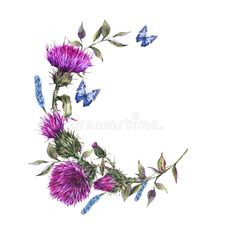 purple thistle flowers and butterflies in the shape of a crescent with leaves on white background royalty illustration