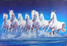 a group of white horses running in the ocean with blue sky and clouds behind them