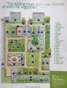 a garden plan with lots of plants and flowers