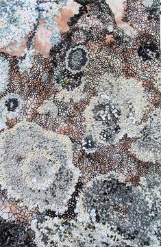 an old rug with many different colors and patterns on it's surface is shown