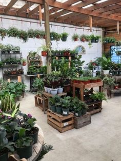 a room filled with lots of potted plants