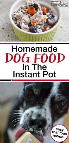 a dog eating food out of a bowl with the title homemade dog food in the instant pot