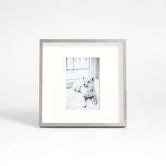 a dog is sitting in front of a white wall with a silver frame on it