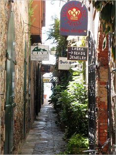 a narrow alley way with signs hanging from the buildings and plants growing on either side