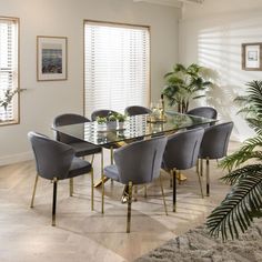 a dining room table with chairs and a glass top centerpiece surrounded by potted plants