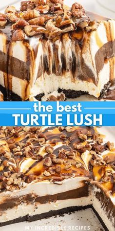 the best turtle lush dessert recipe