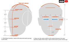 a diagram showing the height and width of an adult's head