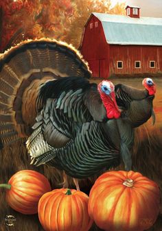 a painting of two turkeys and pumpkins in front of a barn