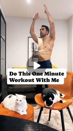 a man with no shirt standing in front of two cats sitting on chairs and the caption reads do this one minute workout with me