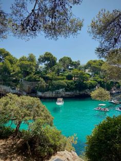 boats are floating on the blue water near trees