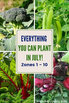 there are pictures of vegetables and plants in the garden with text overlay reading everything you can plant in july zones 1 - 10