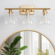 a bathroom mirror with two lights and a potted plant