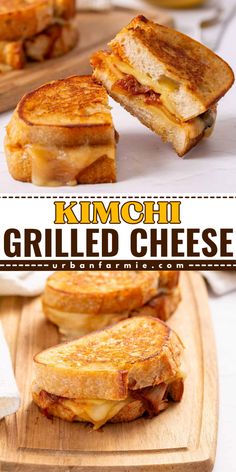 In my kimchi grilled cheese, tangy kimchi meets creamy mozzarella and cheddar between golden-browned sourdough slices. Ready in just 20 minutes! Kimchi Recipe, Easy Vegetarian Lunch, Korean Recipes, Easy To Make Desserts