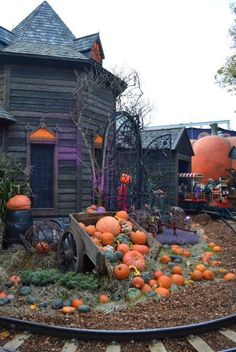 a train track with pumpkins and other decorations in front of a wooden house on the tracks