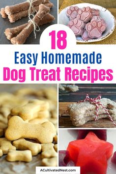 homemade dog treat recipes that are easy to make and great for the whole family, including cookies