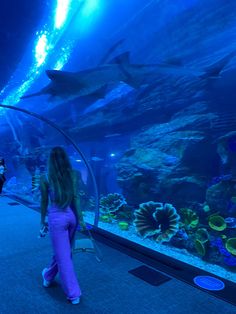 a woman is walking through an aquarium looking at dolphins